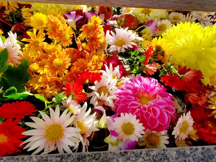 豊景神社の手水舎