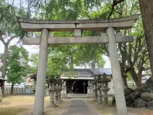 九所御霊天神社の鳥居