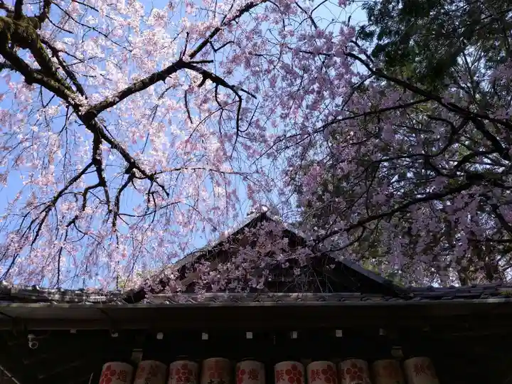 水火天満宮(京都府)