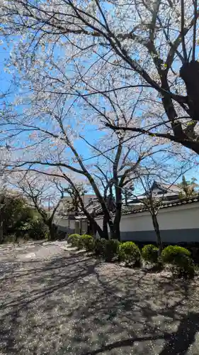 安養院(滋賀県)