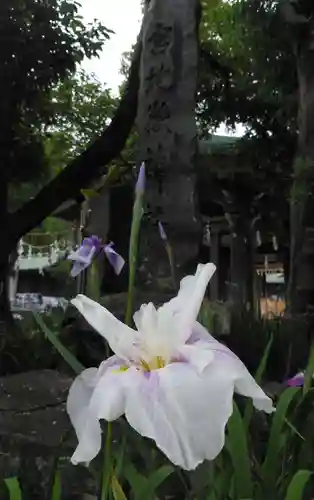 宮地嶽神社の自然