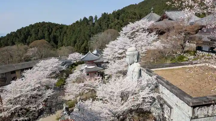 南法華寺(壷阪寺)(奈良県)