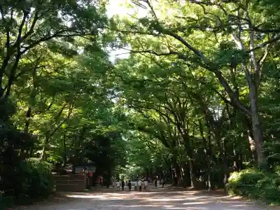 賀茂御祖神社（下鴨神社）(京都府)