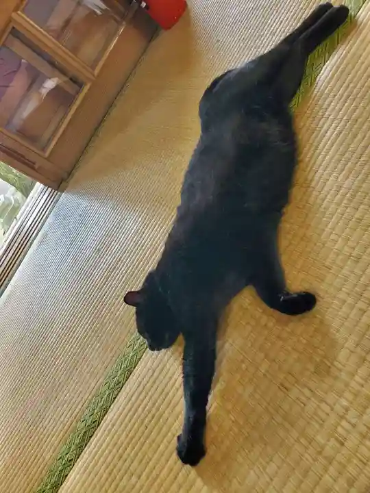 高司神社〜むすびの神の鎮まる社〜(福島県)