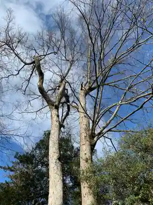 妻沼聖天山歓喜院のその他建物