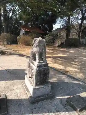 櫻井八幡宮の狛犬