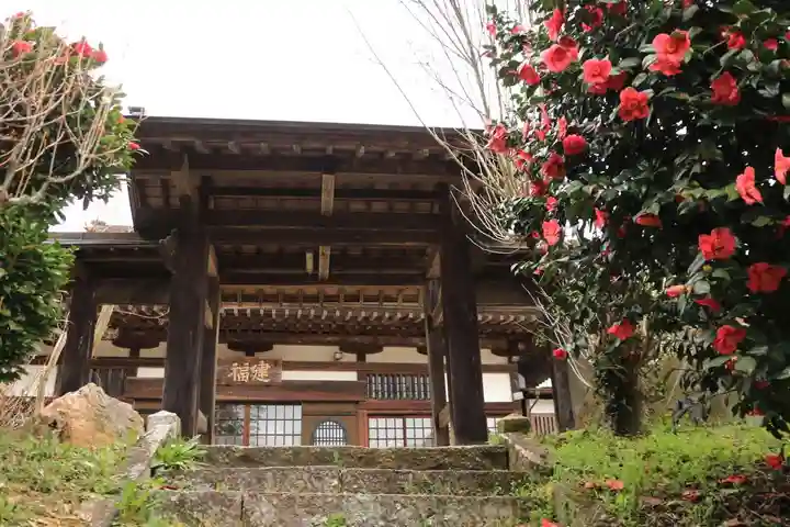 建福寺の山門・神門