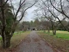 金村別雷神社の景色