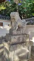荒見神社の狛犬