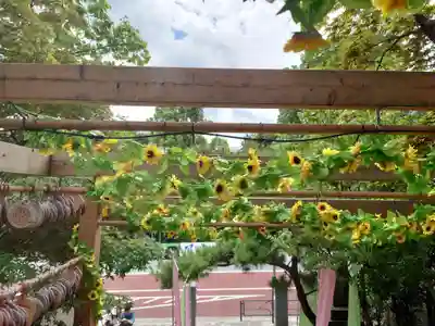 法輪寺(東京都)