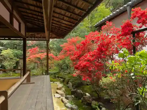 大雄院(京都府)
