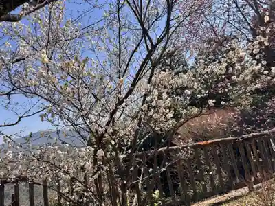 施福寺(大阪府)