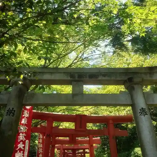 岐阜稲荷山本社の鳥居