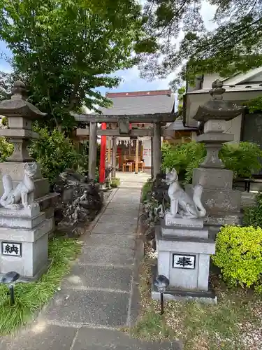 天明稲荷神社の狛犬