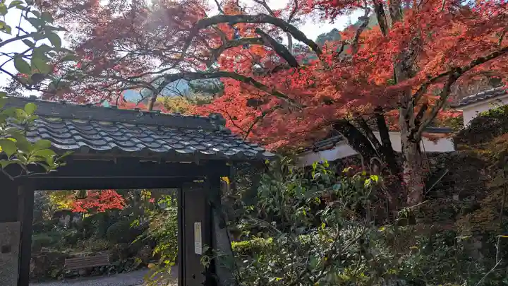 神藏寺(京都府)