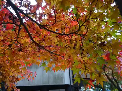 鎌倉宮(神奈川県)