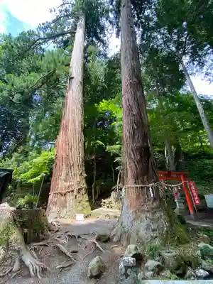 金櫻神社のその他建物