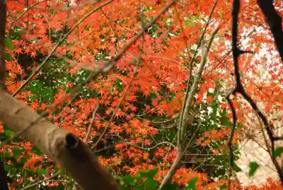 大鳥羽神社(山口県)
