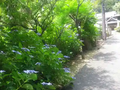 法性寺のその他建物