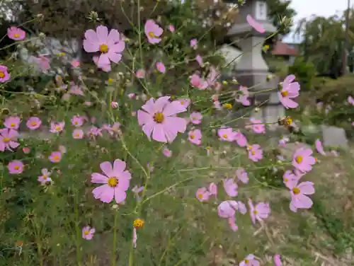 豊景神社(福島県)