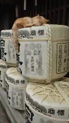 伊勢神宮内宮（皇大神宮）(三重県)