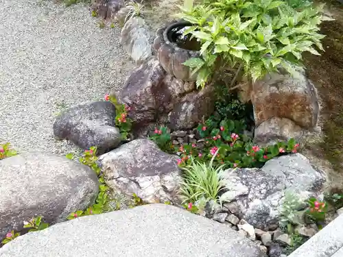 西方山極楽寺の庭園