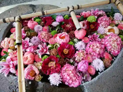 千歳神社の手水