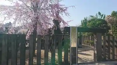 伝通院(東京都)