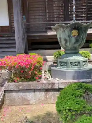 大長寺(神奈川県)
