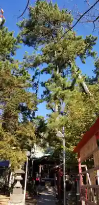 諏訪神社の本殿・本堂