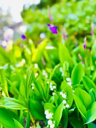 福井神社(福井県)