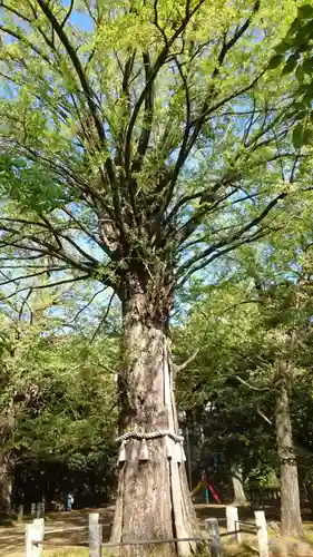 赤坂氷川神社(東京都)