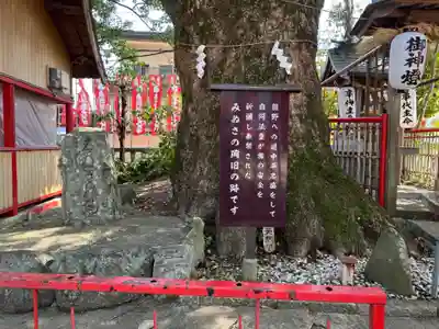 糸我稲荷神社(和歌山県)