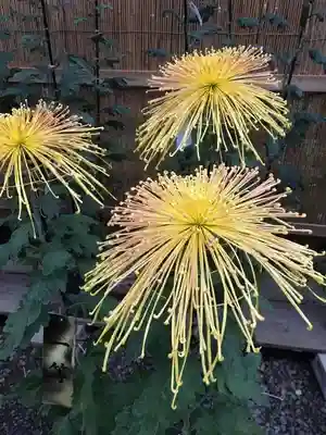 彌彦神社のその他建物