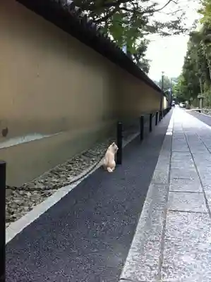 大徳寺のその他建物