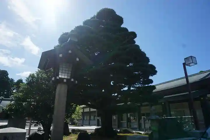 石川護國神社のその他建物