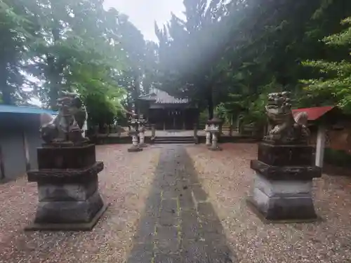 西浦神社の狛犬