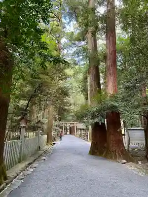 椿大神社(三重県)