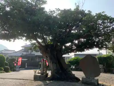 不動院のその他建物