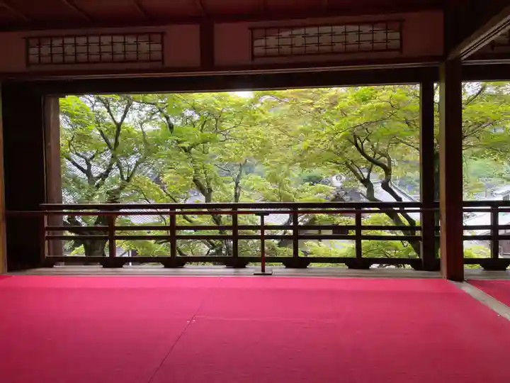 柳谷観音 楊谷寺(京都府)
