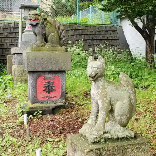 川汲稲荷神社の狛犬