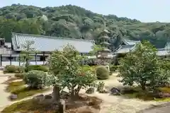 興聖寺（興聖寶林禅寺）(京都府)