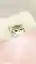 モフさんのプロフィール画像