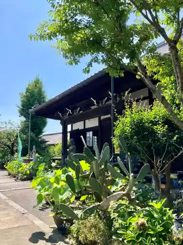 洞雲寺の本殿・本堂