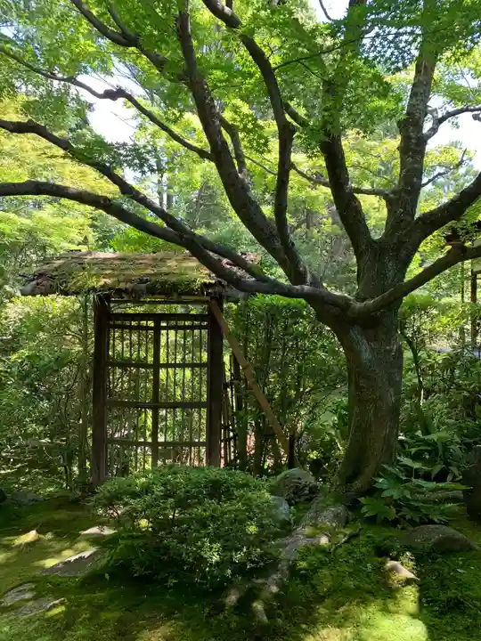 桂春院の庭園