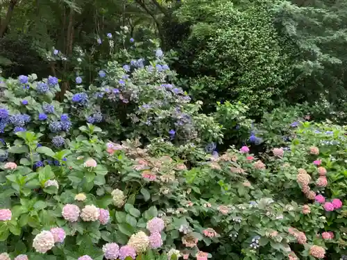 高幡不動尊　金剛寺(東京都)