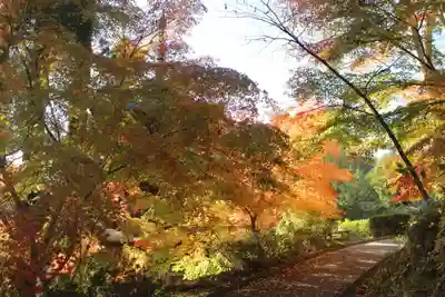 国宝 大法寺(長野県)
