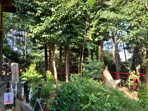 勝呂神社(埼玉県)