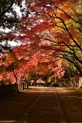 永源寺(滋賀県)
