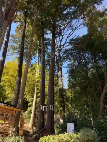 飯盛神社の{uncategorized: "未分類", other: "その他", undefined: "問題あり", building: "その他建物", grave: "お墓", sacred_gate: "鳥居", guardian: "狛犬", statue: "像", buddha: "仏像", history: "歴史", nature: "自然", garden: "庭園", animal: "動物", pagoda: "塔", temizu: "手水舎", mountain_gate: "山門・神門", sanctuary: "本殿・本堂", subordinate: "末社・摂社", art: "芸術", scenery: "景色", jizo: "地蔵", ema: "絵馬", goshuin: "御朱印", omikuji: "おみくじ", items: "授与品その他", amulet: "お守り", goshuincho: "御朱印帳", eats: "食事", festival: "お祭り", votive_dance: "神楽", shichigosan: "七五三参", wedding: "結婚式", experience: "体験その他", initially: "初詣", around: "周辺", anti_infection: "感染症対策"}